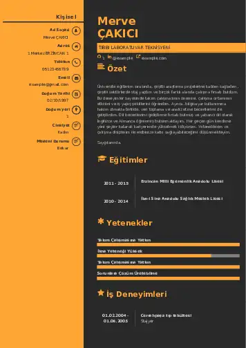 Laboratuvar Teknisyeni Cv Örnekleri cv indir